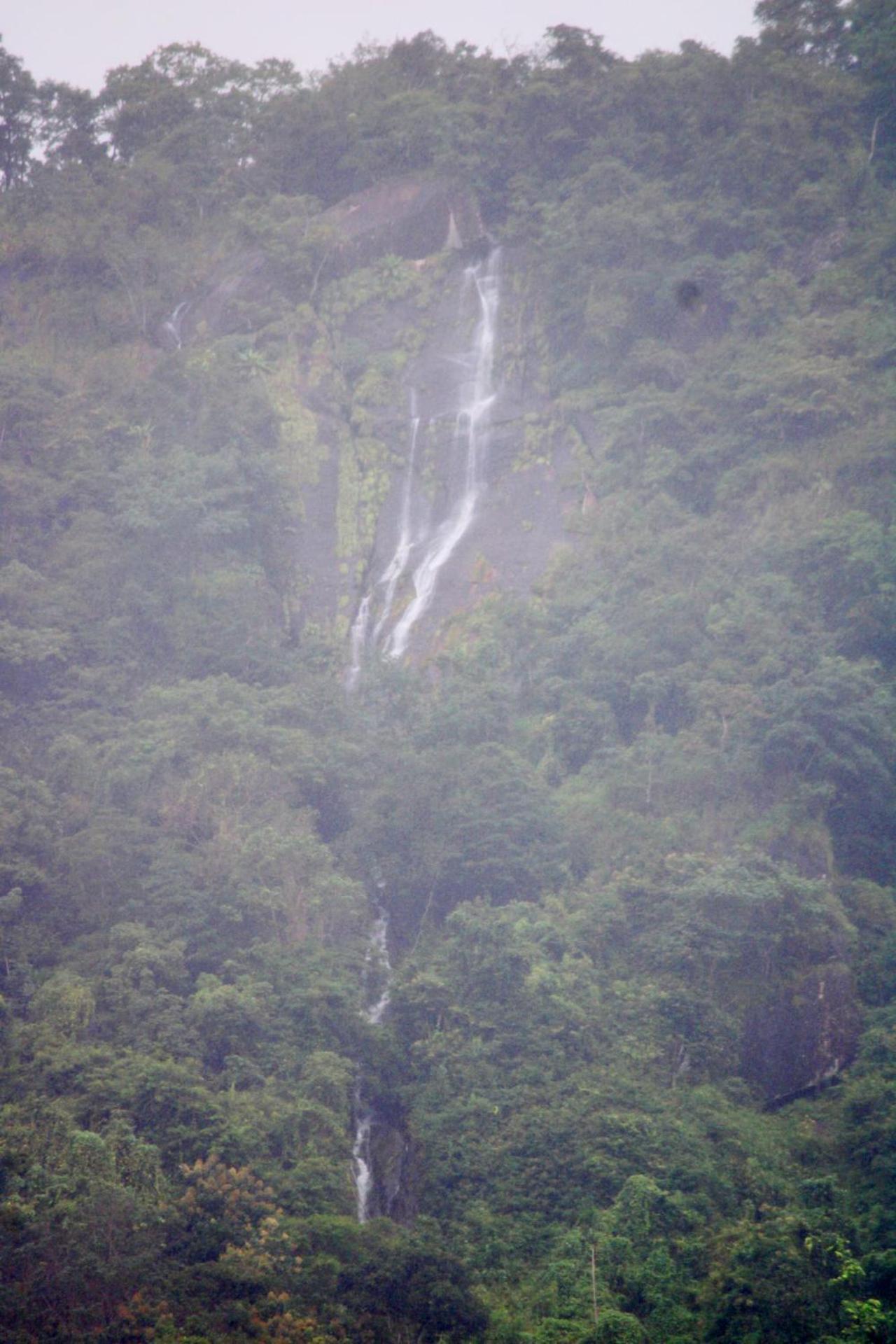 Mist Farm House Kudayattur エクステリア 写真